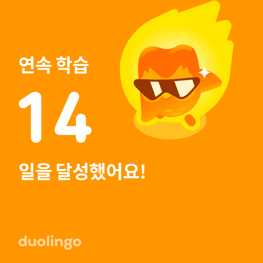 듀오링고 대표 이미지