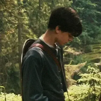 VividHeat2152의 Edmund Pevensie