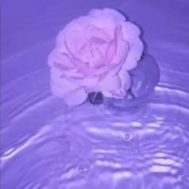 Profile image of 황수현