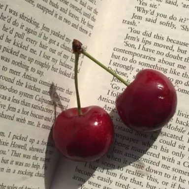 Profile image of 서라더