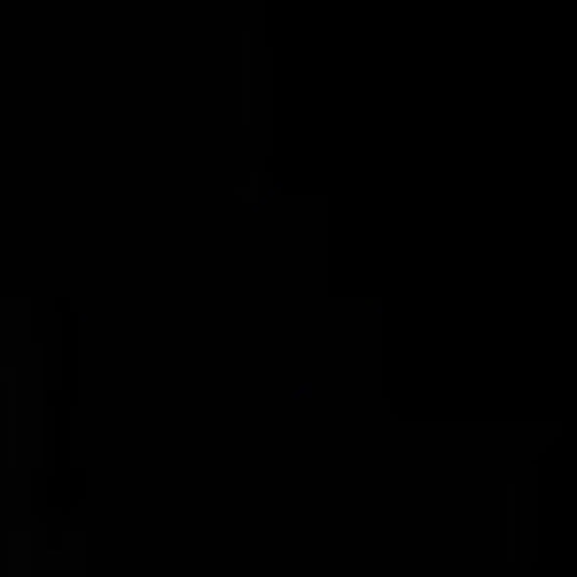 Hiramatsu의 野村兄妹