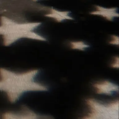 Profile image of 北斗