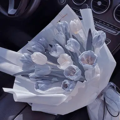 Profile image of 파크모