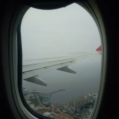Profile image of 여우