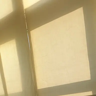 Profile image of 이류은