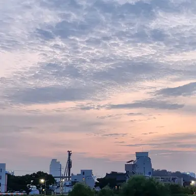 Profile image of 김윤주