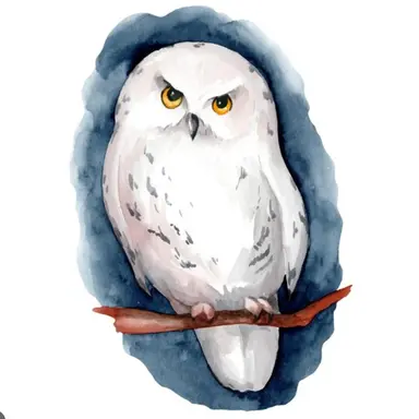 Profile image of フロスティ