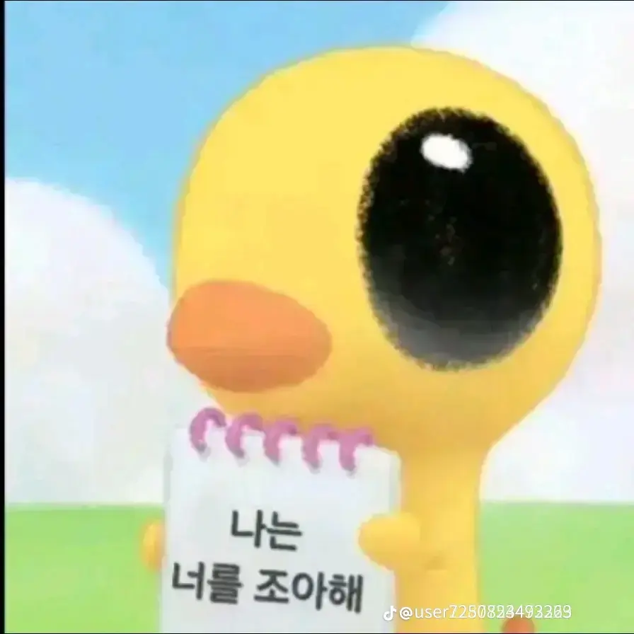 CattyNose9437의 꽥꽥탐험대