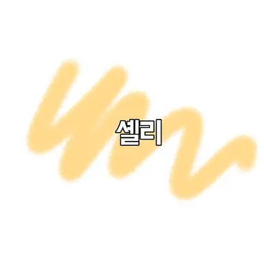 Profile image of 셸리