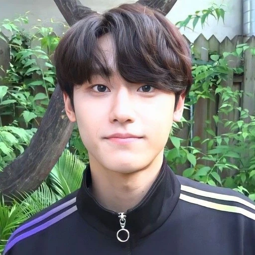이도현