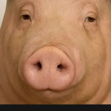 Profile image of 두지