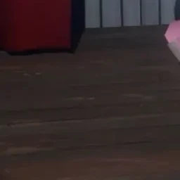 쥐들