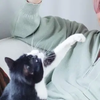 Profile image of 佐久間大介