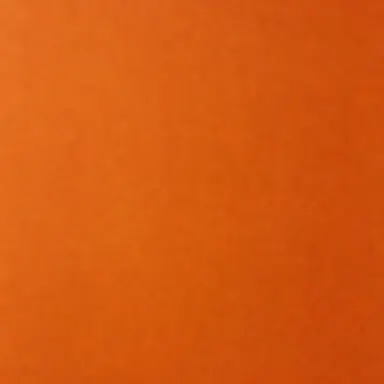 Profile image of 코마