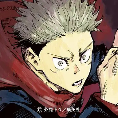 Profile image of 虎杖悠仁