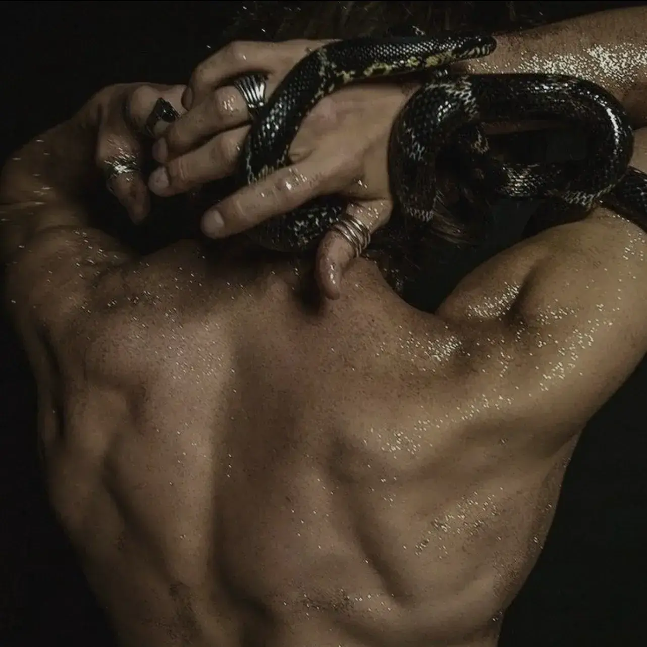 DullPeak8319의 CASPIAN