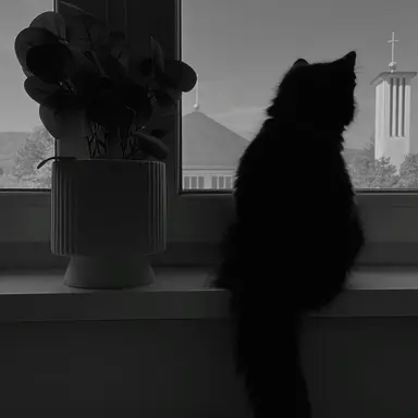 Profile image of ㅂㅈㄱ