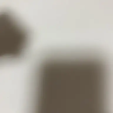 Profile image of コモン