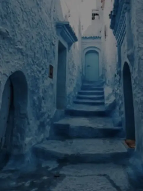 ._.Dise의 …      、