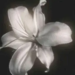 Profile image of 왕욱
