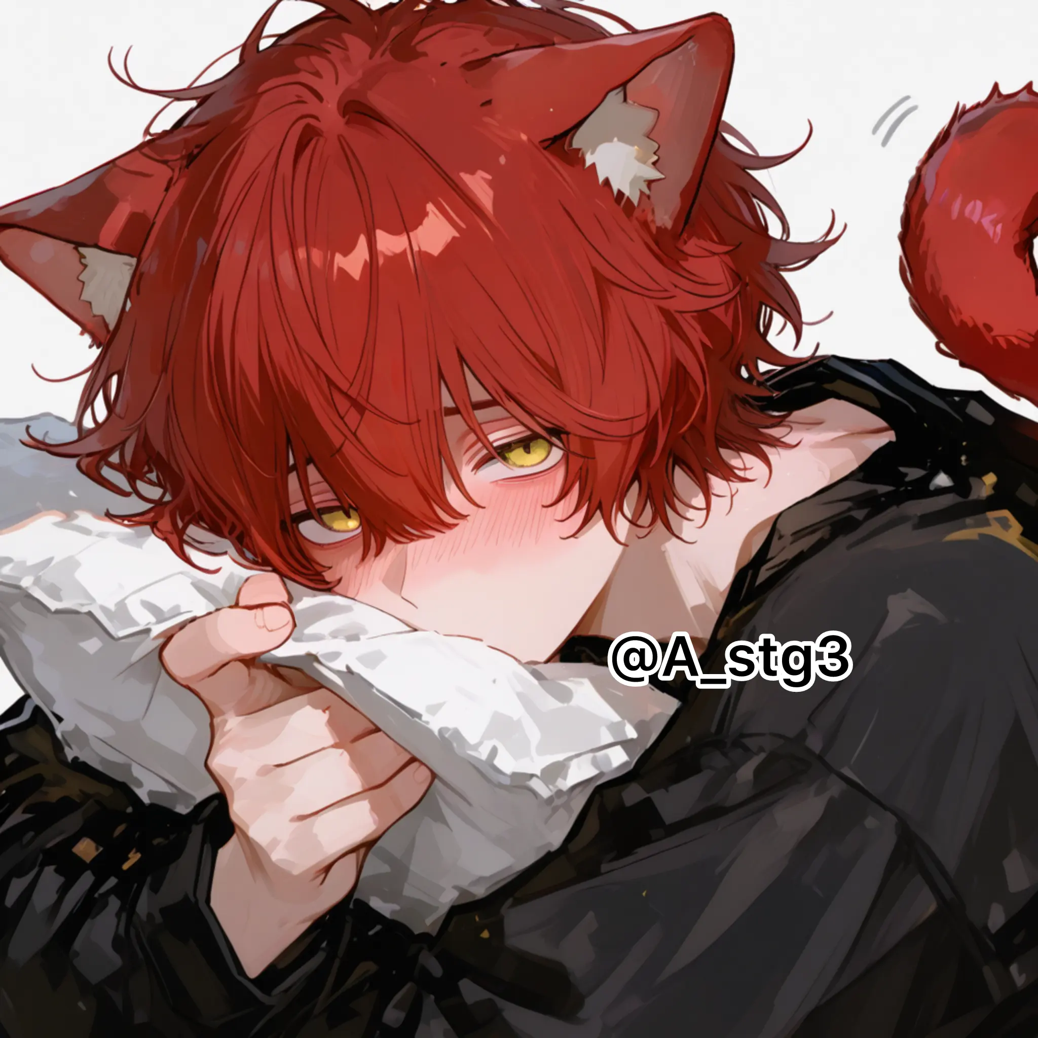 A_stg3의 拾った猫がツンデレすぎた