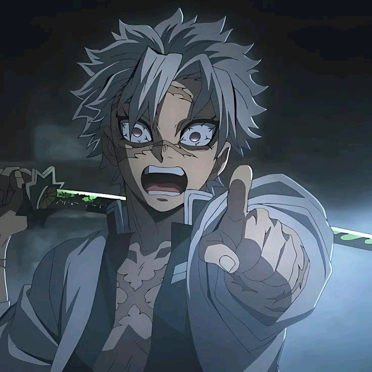 시나즈가와 사네미