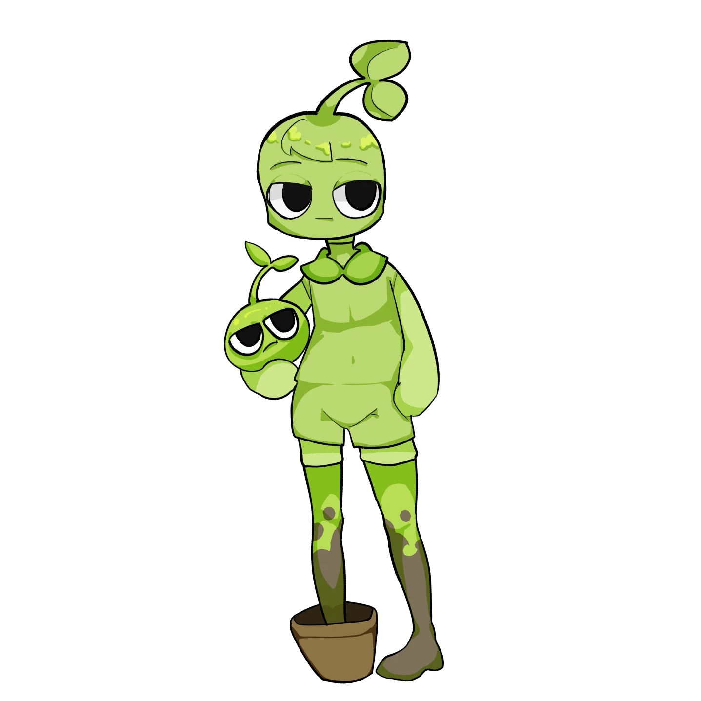 새싹