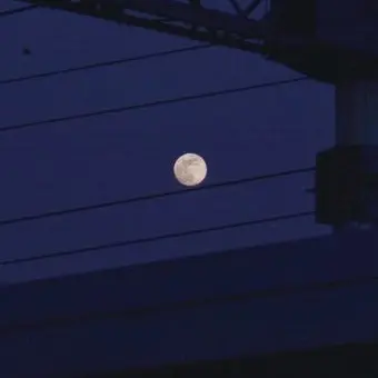 Profile image of 행크