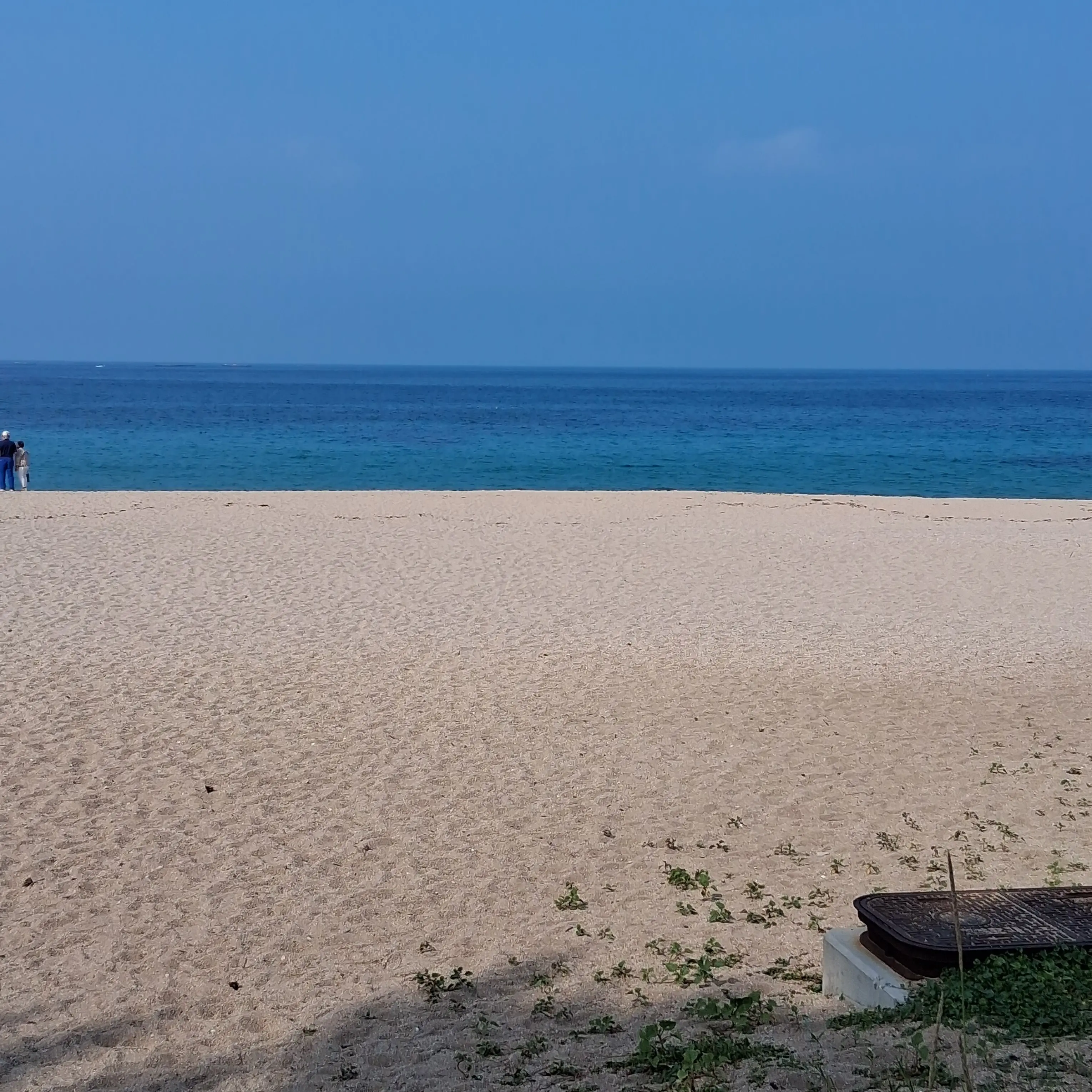 DoughyDrone4733의 .