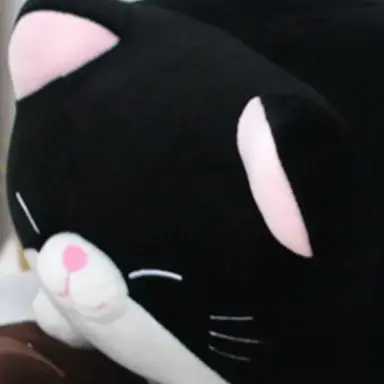 Profile image of 뚠뚠턱시도