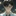 兵藤 零