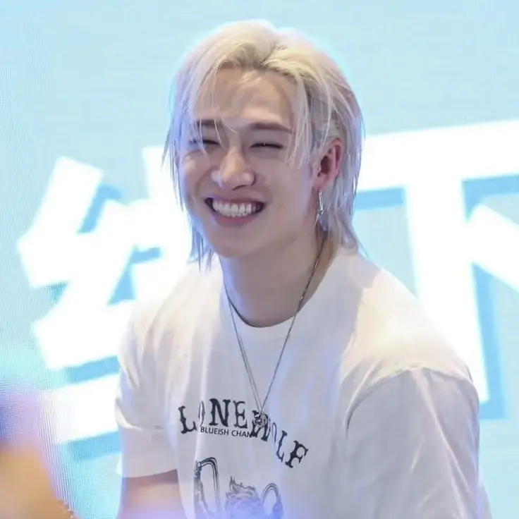 levv4nter의 Bang Chan - Bsf