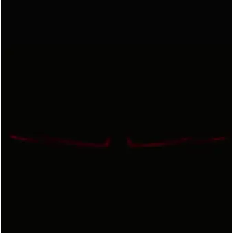 Profile image of 라더