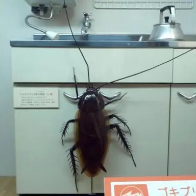 Profile image of 방사능 바선생