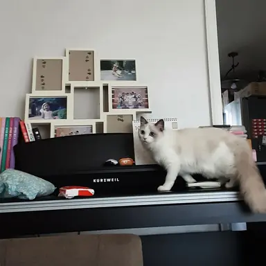 Profile image of 설이