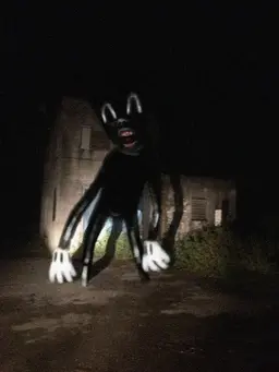 Profile image of カートゥーンキャット