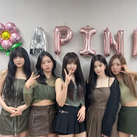 SourEland9133의 에이핑크 누나들