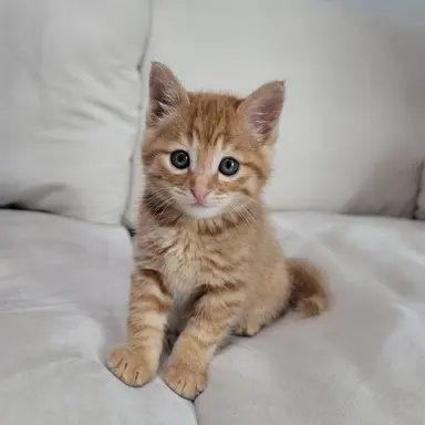 Profile image of 이나경