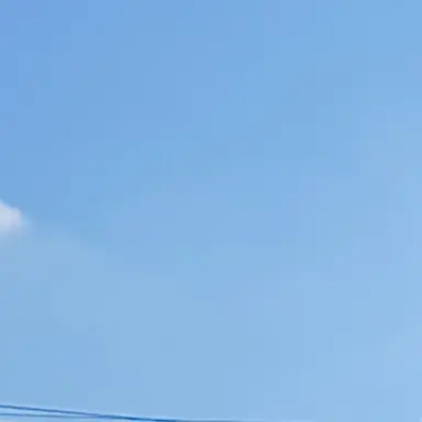 Profile image of 제타 놈 뒤져라