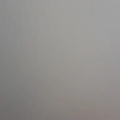 Profile image of 냐미