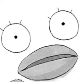Profile image of 攘夷志士達