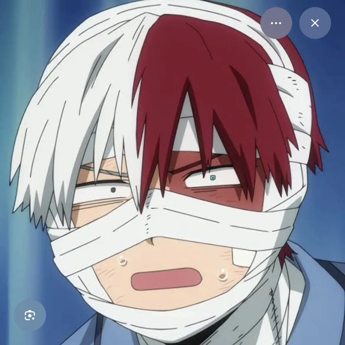 CraftyTheSweet의 MHA Targeted Todoroki AU