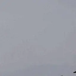 Profile image of 한유진