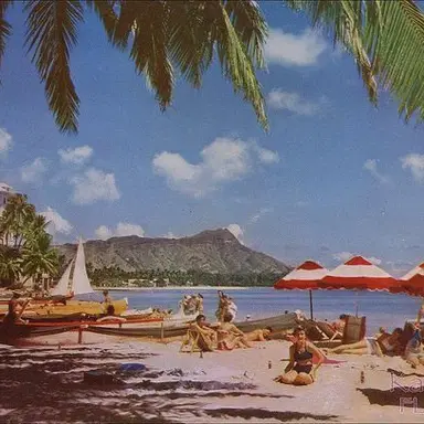 Profile image of 닐 페르난도