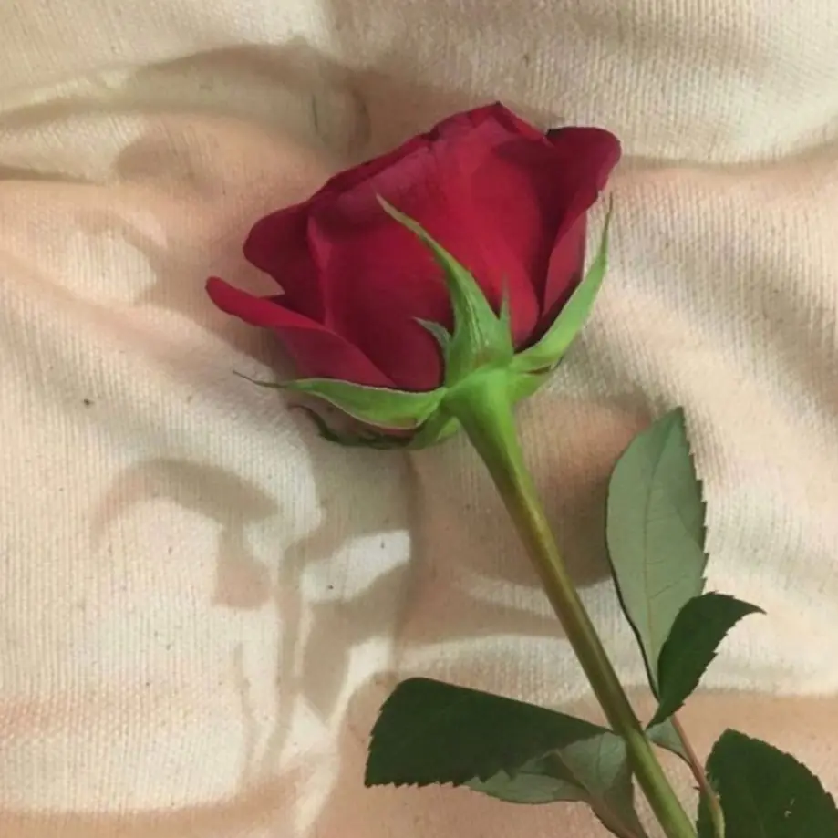 SleazyTulip6484의 내가 돈주면 다할줄...아네 ㅋ