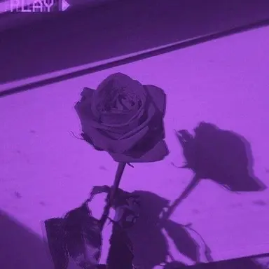 Profile image of 수현