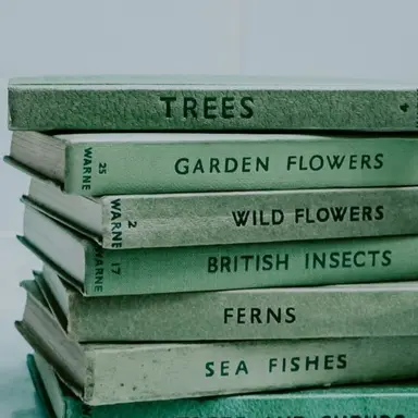 Profile image of 공룡