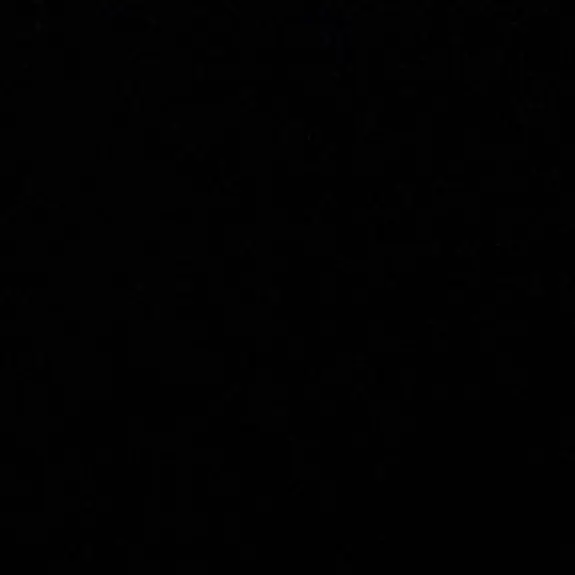 k.svt_17의 수인 공 × 메이드 수