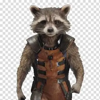 Profile image of Rocket