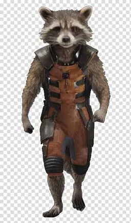 Profile image of Rocket